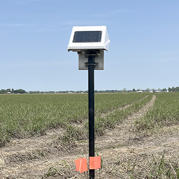 Locator One on Site